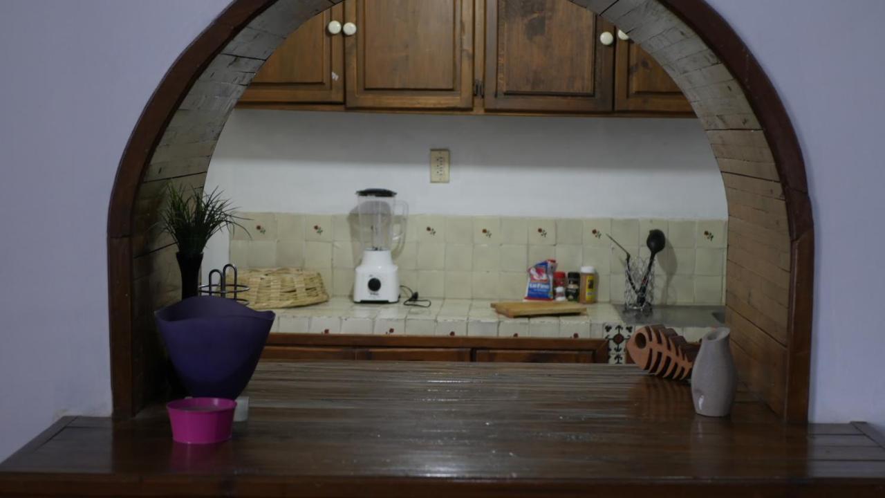 Loft Familial Cosy Διαμέρισμα Γκουαναχουάτο Εξωτερικό φωτογραφία
